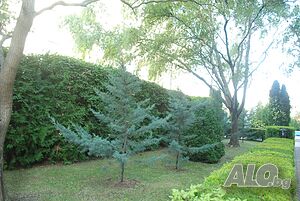 image_14
