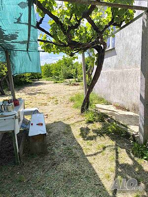 image_11