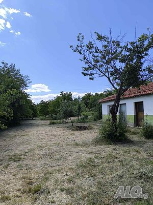 image_12