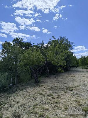 image_13