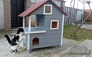 image_6
