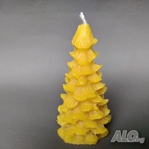 image_7
