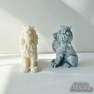 image_5