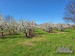 image_6