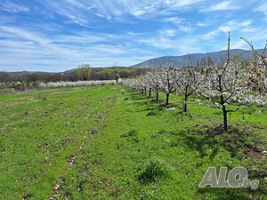 image_7