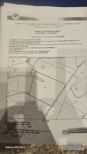 image_6