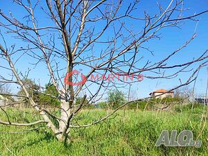 image_11