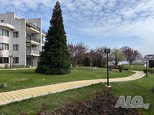 image_11