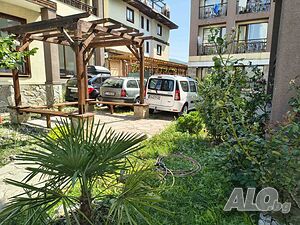 image_11