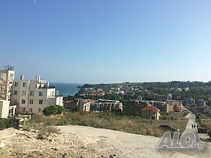 image_6