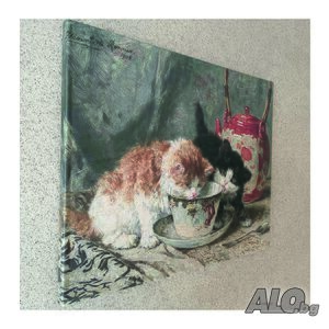 image_5