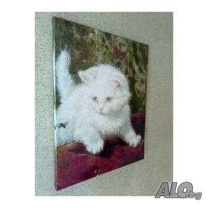 image_2