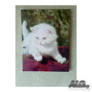 image_3