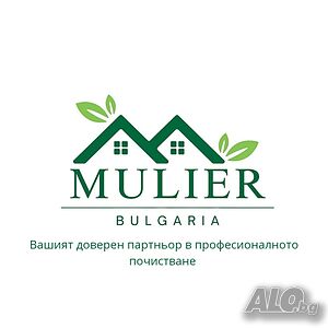 Професионално почистване