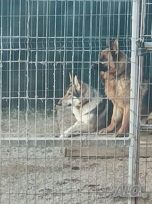Здравейте продавам