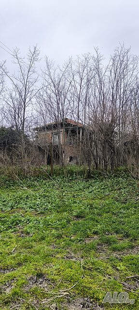 Къща в с. Самуилово, общ. Стара Загора Едноетажна къща 90 кв.м РЗП 1015 кв.м двор | Къщи, Вили | Самуилово