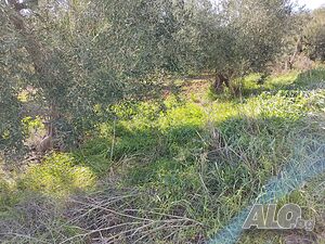 image_14