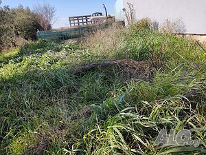 image_15