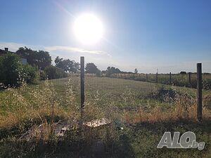image_7