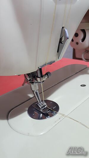 image_7