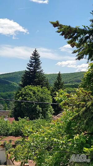 image_10