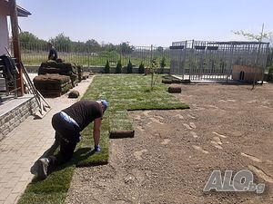 image_8