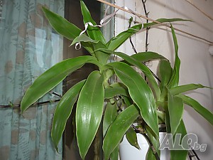 image_2