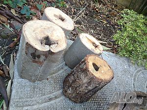image_10