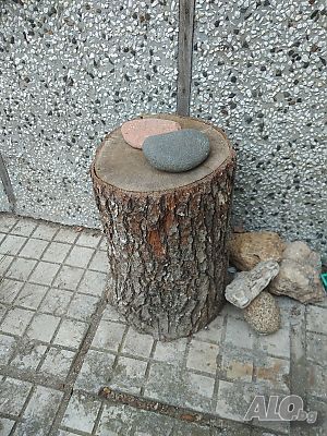 image_15