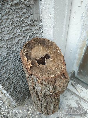 image_13