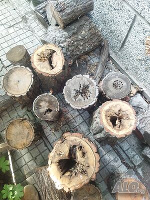 image_8