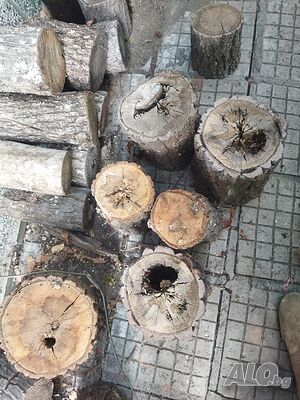 image_10