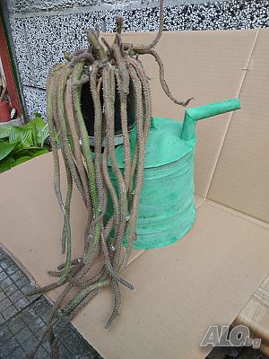image_2