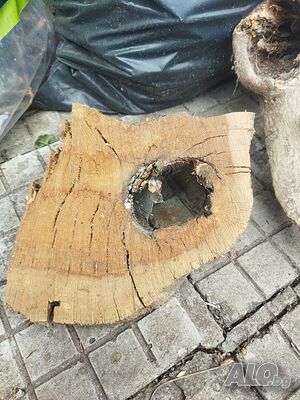 image_12