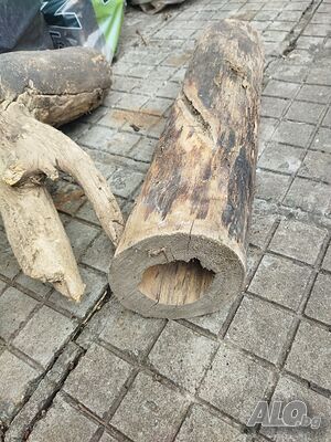 image_14