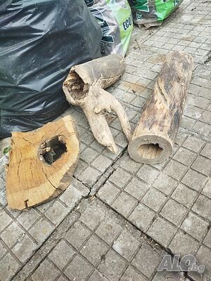 image_15