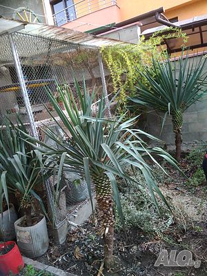 image_14
