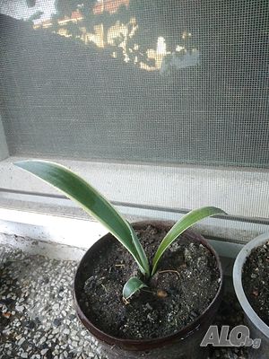 image_13
