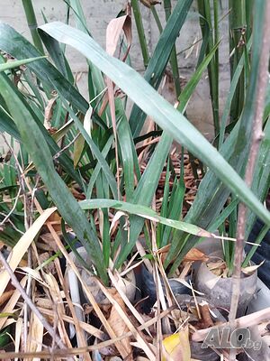 image_8