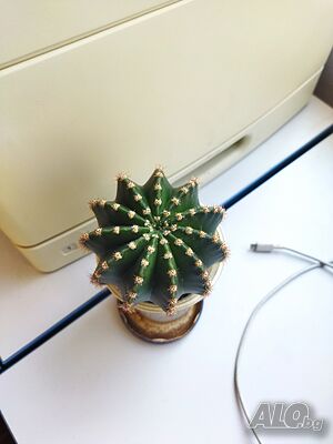 image_4
