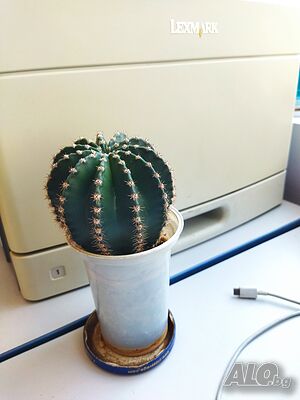 image_3