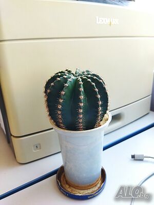 image_7