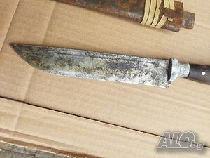image_7