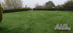 image_2
