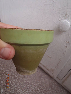 image_9