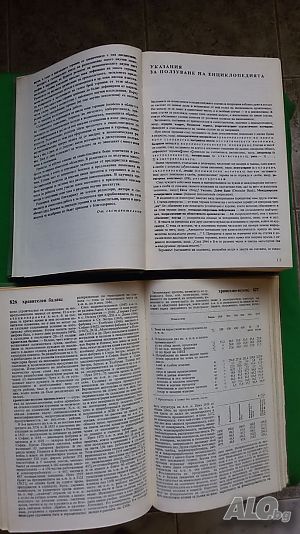 image_8
