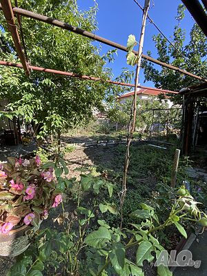 image_11