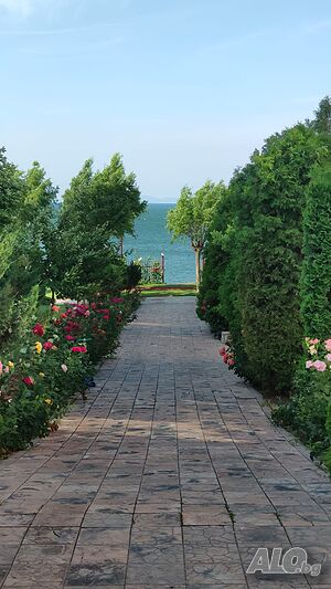 image_11