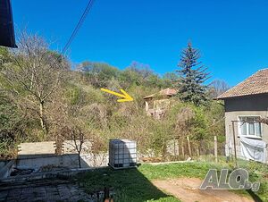 image_11