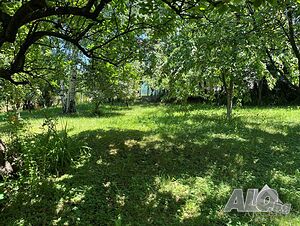 image_15